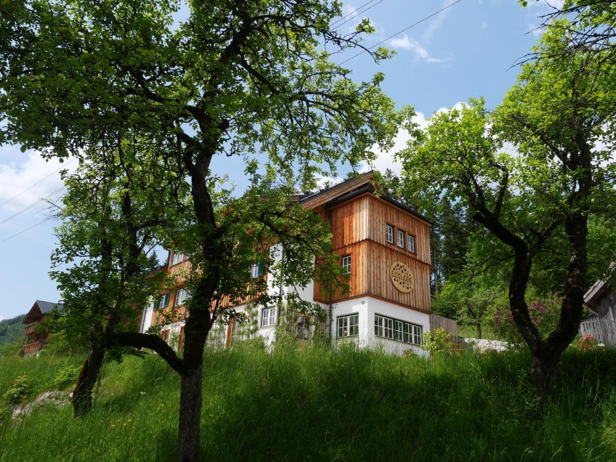 Ecologie กรุนเดิลเซ ภายนอก รูปภาพ
