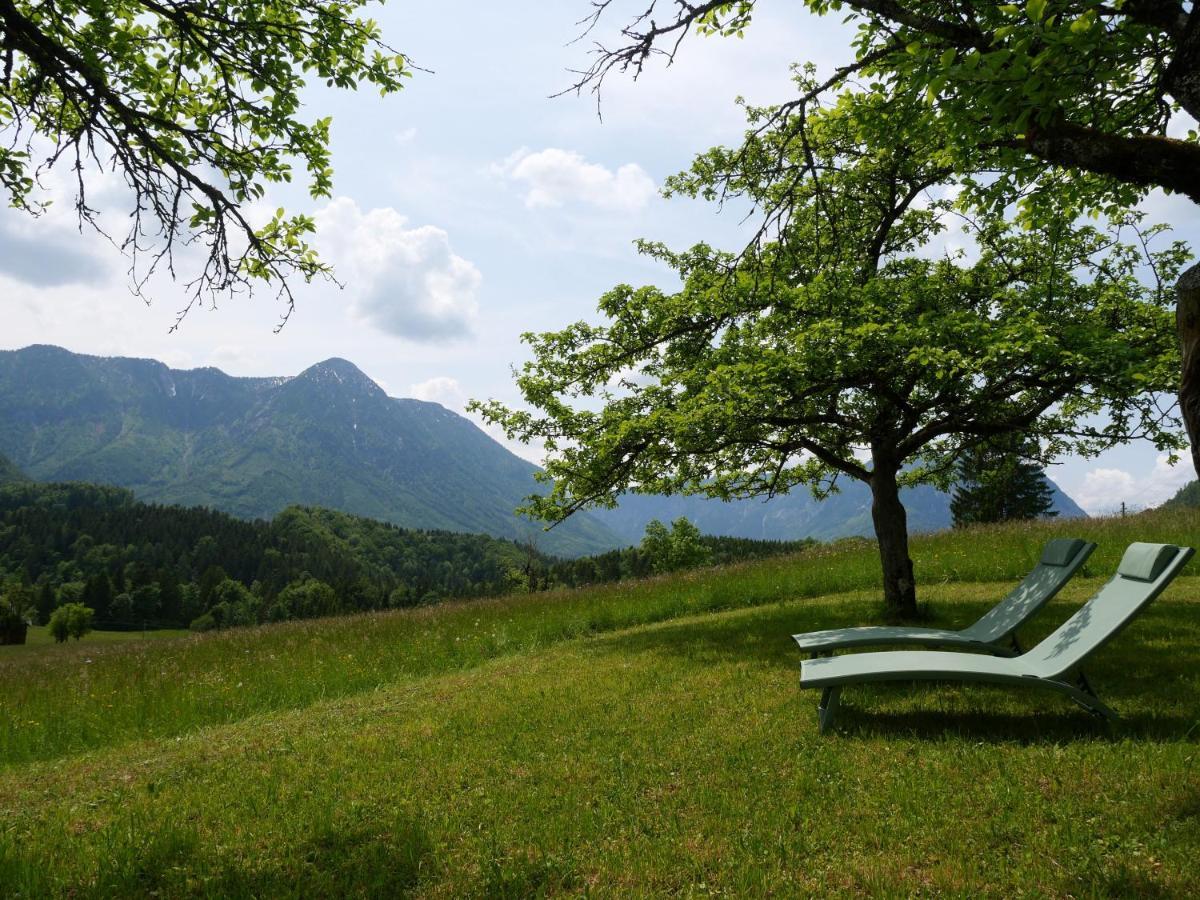 Ecologie กรุนเดิลเซ ภายนอก รูปภาพ
